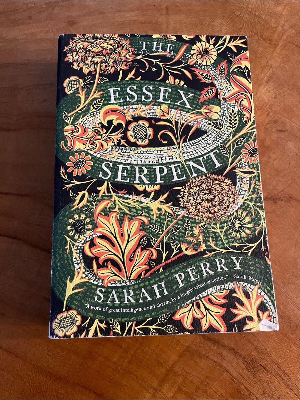 The Essex serpent Sarah Perry novel book